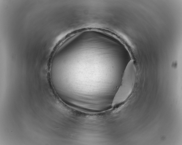 X0000090481264200707272312