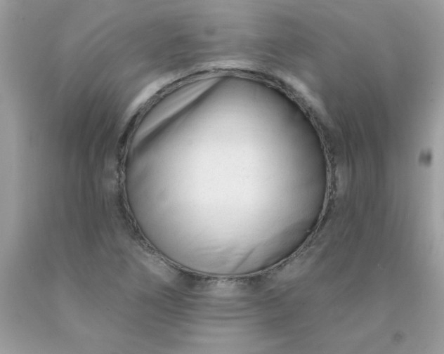 X0000090481266200707272311