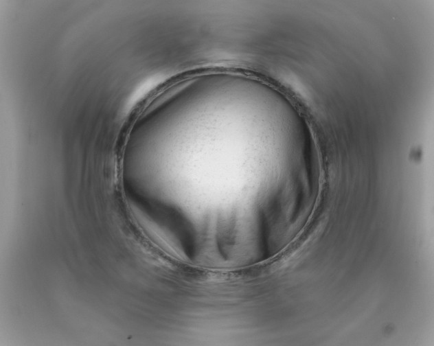 X0000090481267200707272311