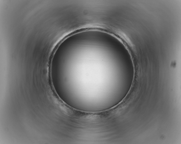 X0000090481268200707272311