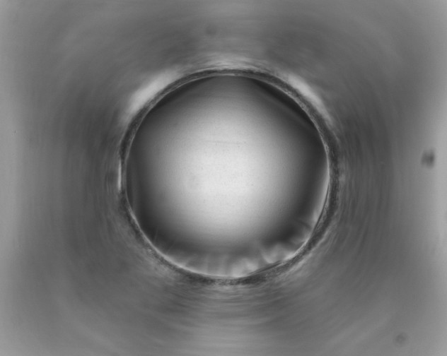 X0000090481269200707272311