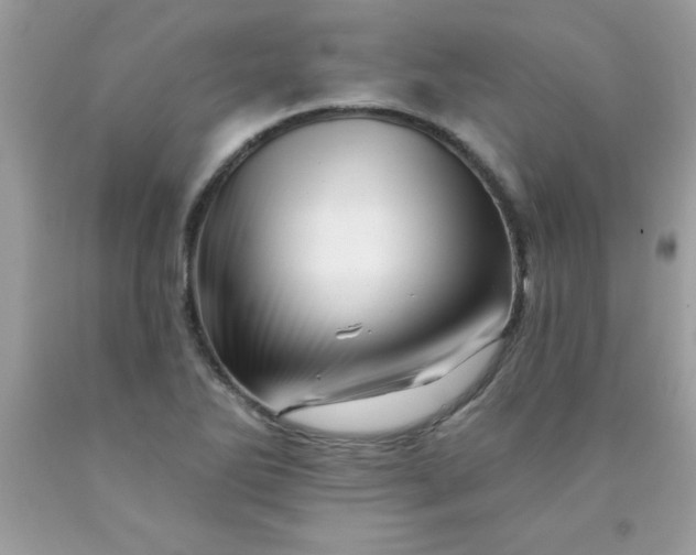 X0000090481270200707272311