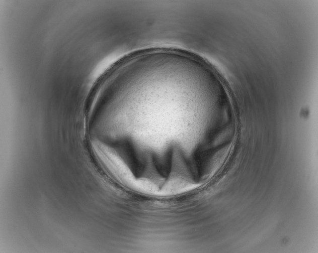 X0000090481271200707272311