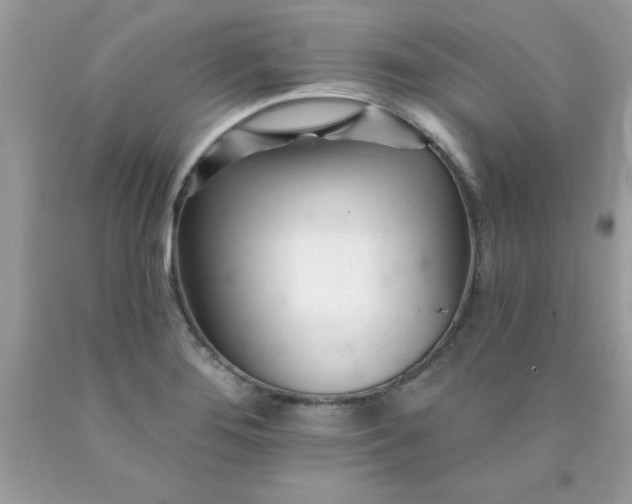 X0000090481276200707272311