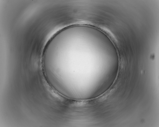 X0000090481278200707272311