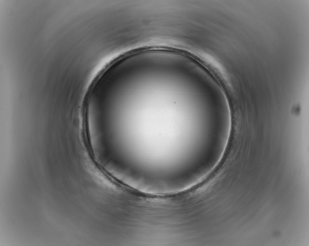 X0000090481280200707272311