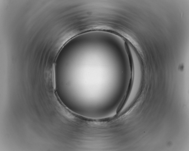 X0000090481281200707272311