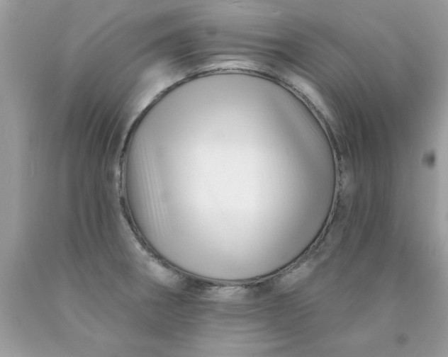 X0000090481282200707272311