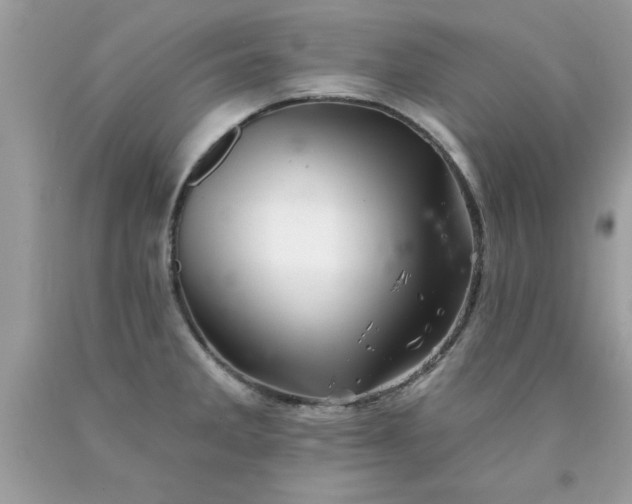 X0000090481285200707272311