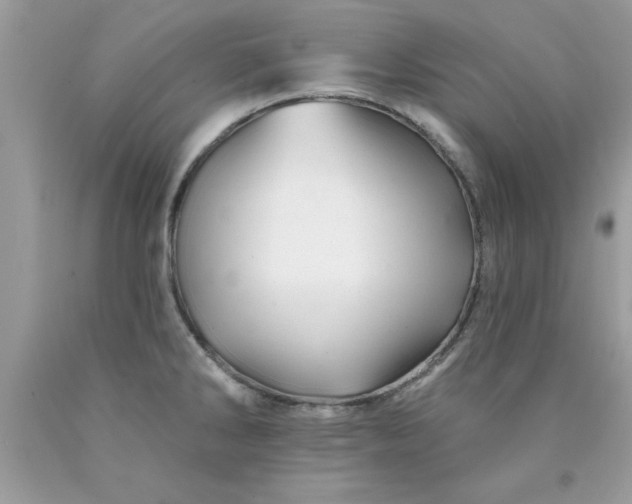 X0000090481286200707272311