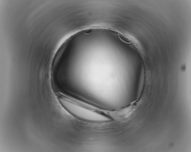 X0000090481288200707272311