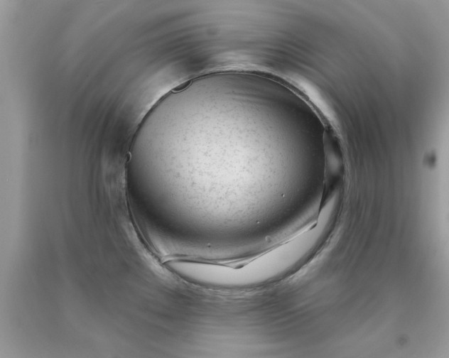 X0000090481289200707272311