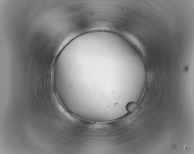 X0000090481290200707272311