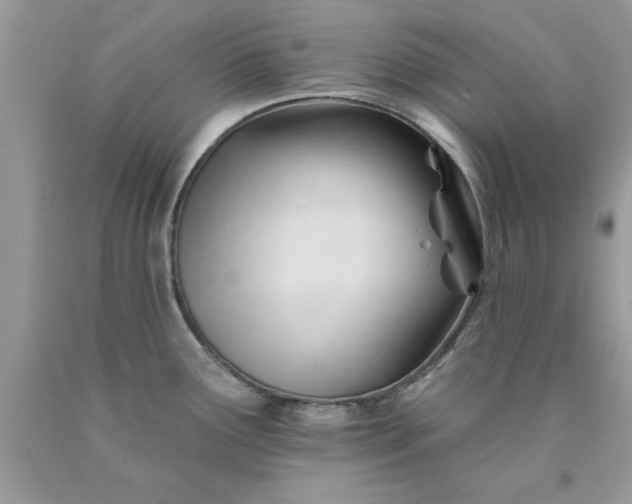 X0000090481291200707272311