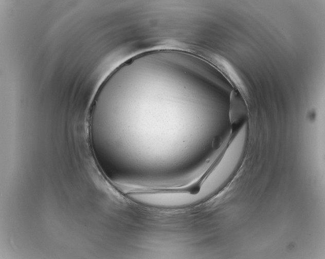 X0000090481292200707272311