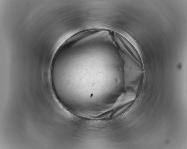 X0000090481293200707272311