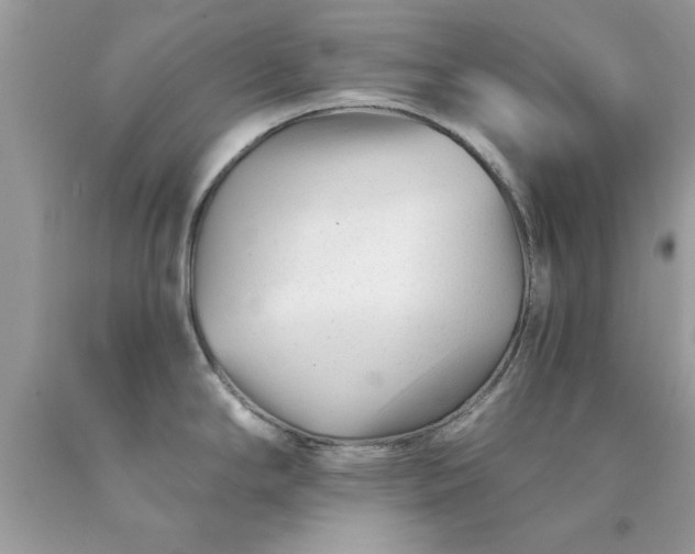 X0000090481294200707272311