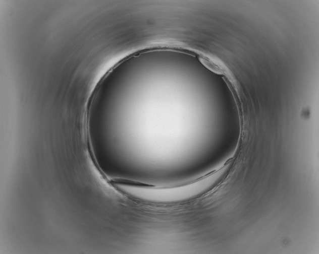 X0000090481295200707272311