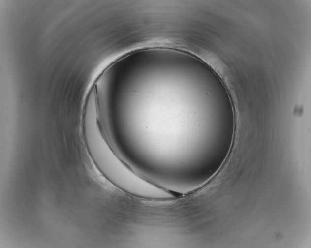 X0000090481296200707272311