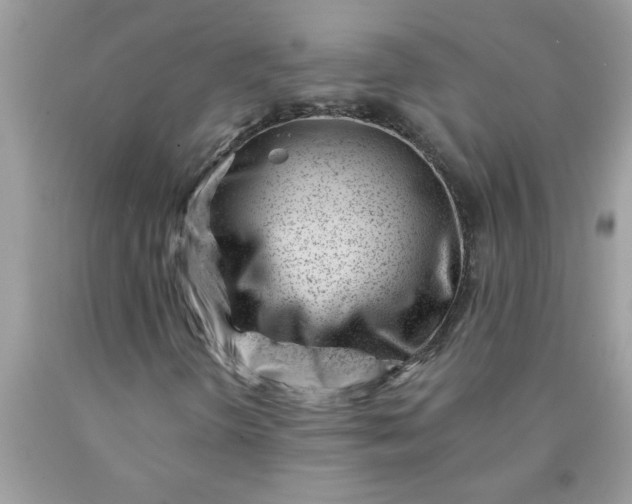 X0000090481298200707272311