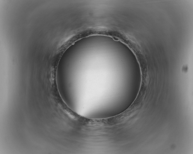 X0000090481301200707272311