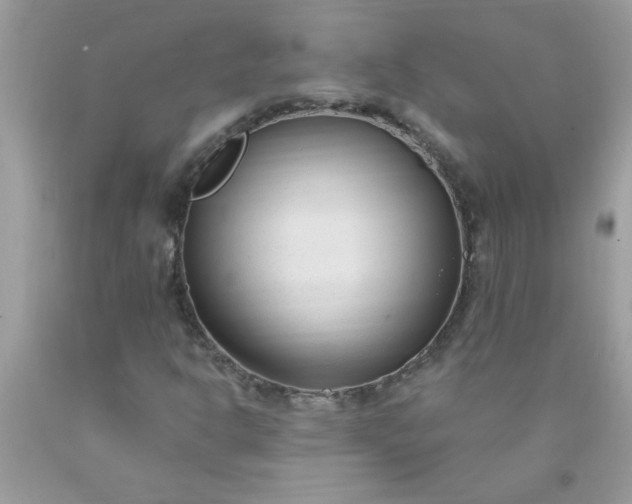 X0000090481302200707272311