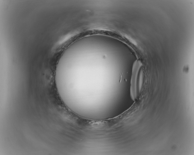 X0000090481303200707272311