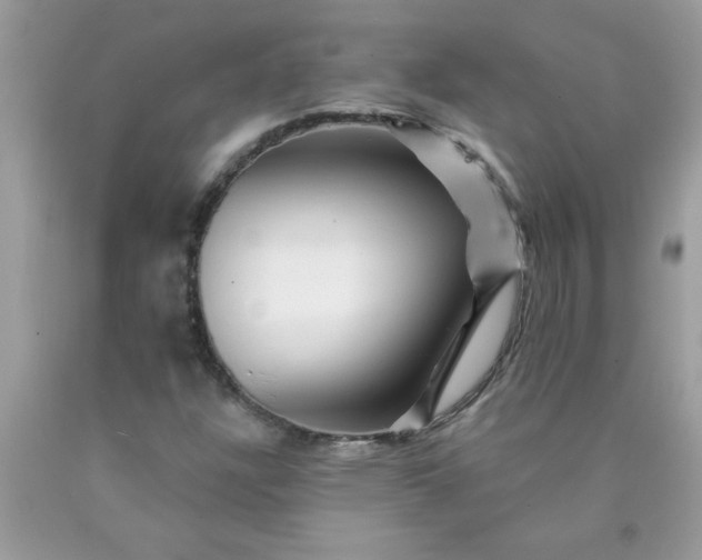 X0000090481304200707272311