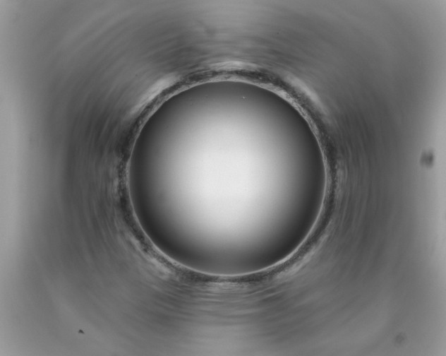 X0000090481305200707272311