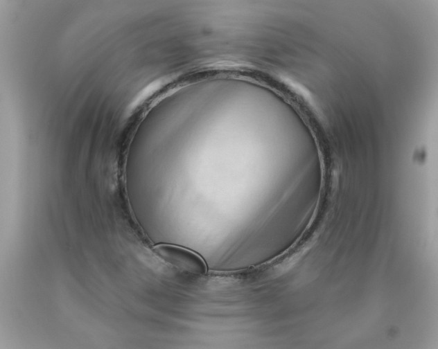 X0000090481306200707272311