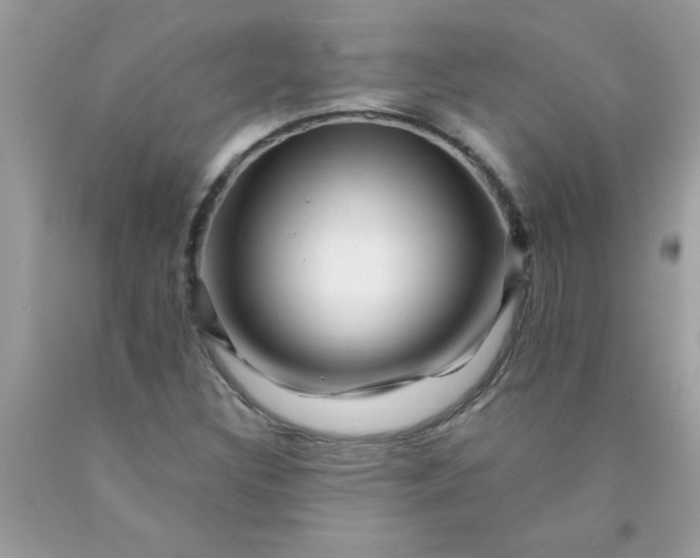 X0000090481308200707272311