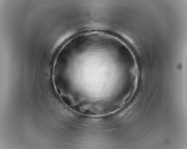 X0000090481309200707272311