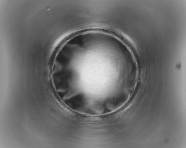 X0000090481310200707272311