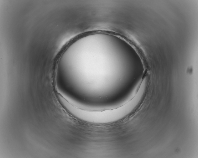 X0000090481312200707272311