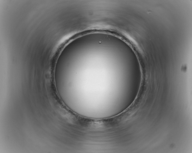 X0000090481315200707272311