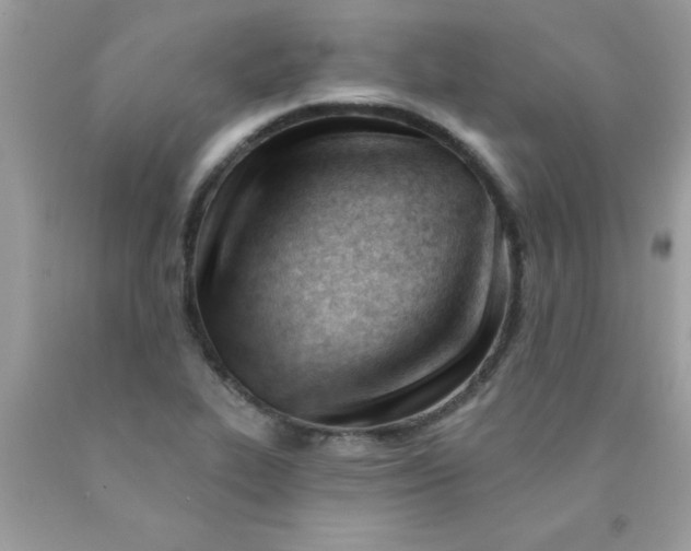 X0000090481319200707272311