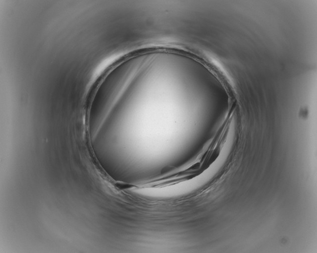 X0000090481320200707272311