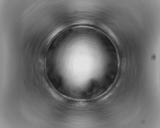 X0000090481321200707272311