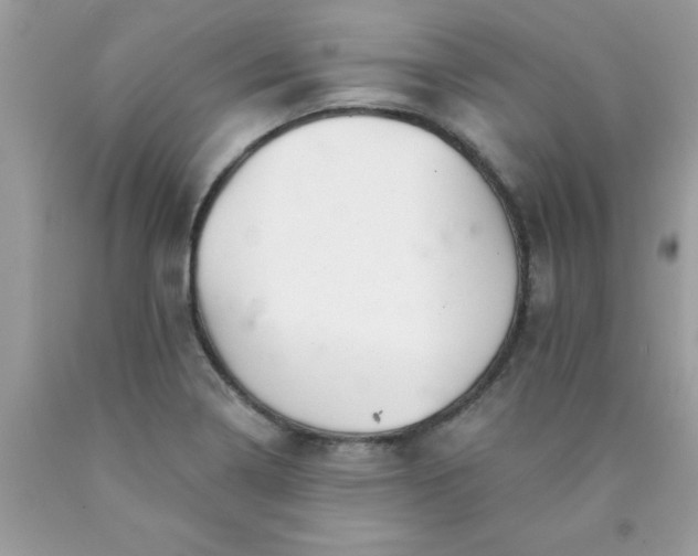 X0000090481322200707272311