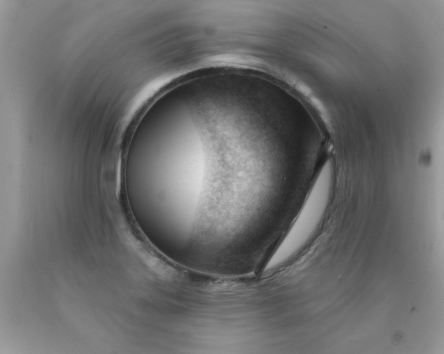 X0000090481323200707272311