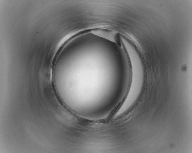 X0000090481324200707272311