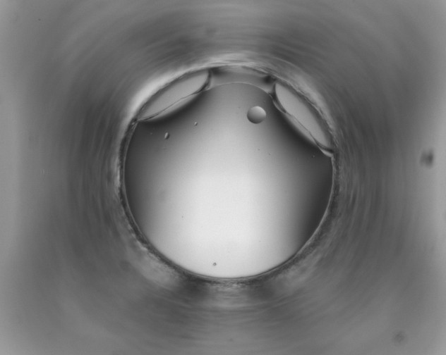 X0000090481328200707272311