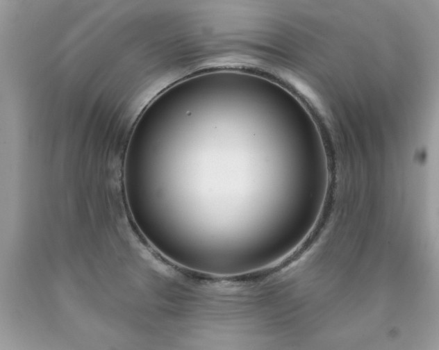 X0000090481329200707272311