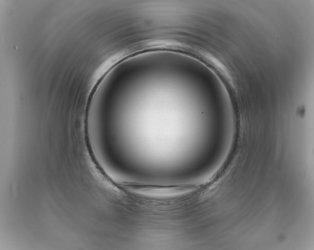 X0000090481330200707272311