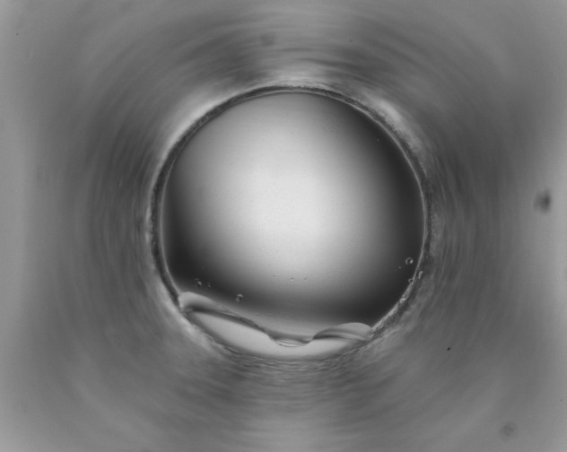 X0000090481331200707272311