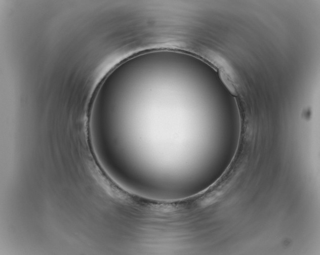 X0000090481332200707272311