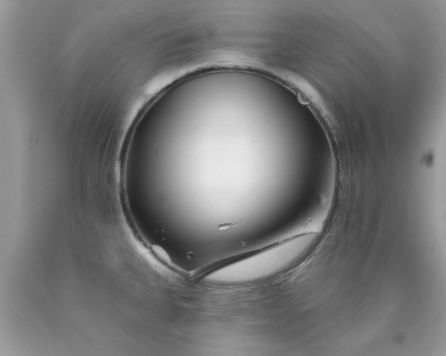 X0000090481335200707272311