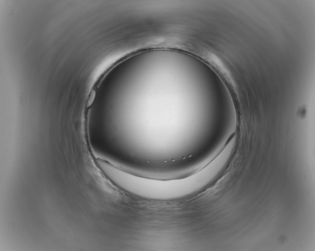 X0000090481336200707272311