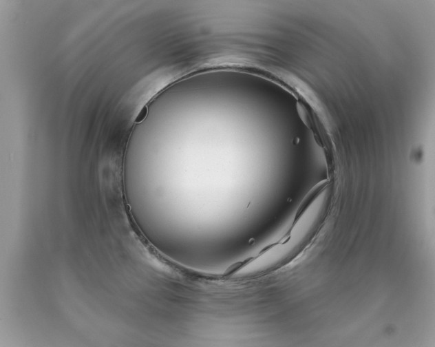 X0000090481337200707272311