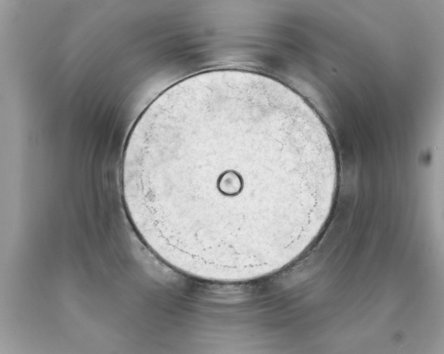 X0000090481338200707272311